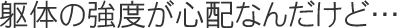 躯体の強度が心配なんだけど…